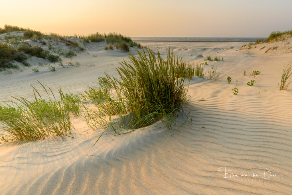compositie fotografie