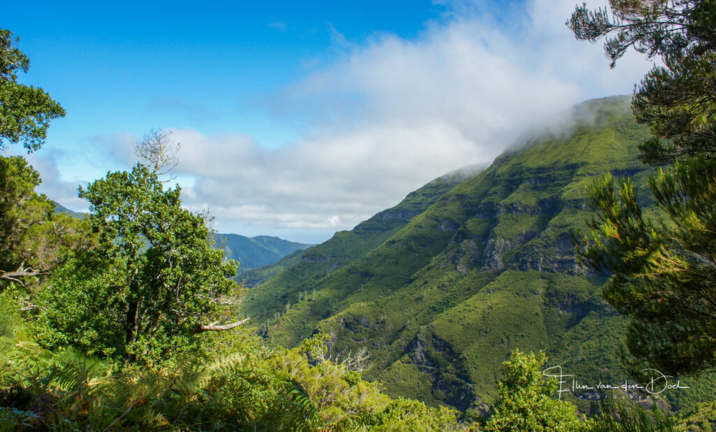 Madeira - 2009