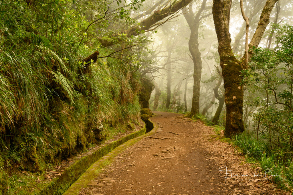 De levada