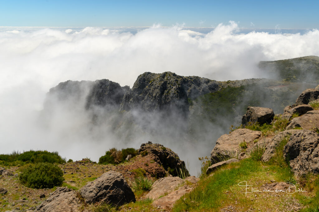 Pico do Arieiro