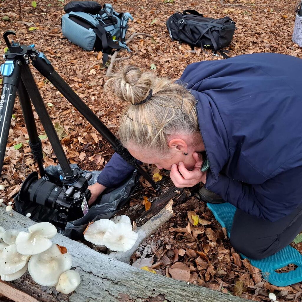 Macro fotografie in actie